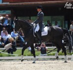 dressage-May2013-1