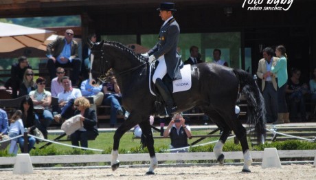 dressage-May2013-1
