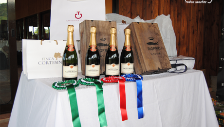 dressage-May2013-10