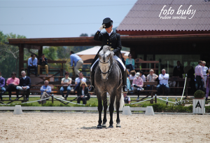 dressage-May2013-2