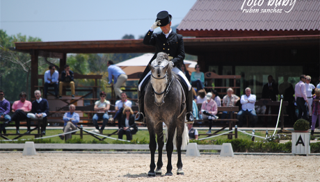 dressage-May2013-2