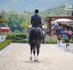 dressage-May2013-3