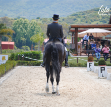 dressage-May2013-3