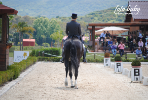 dressage-May2013-3