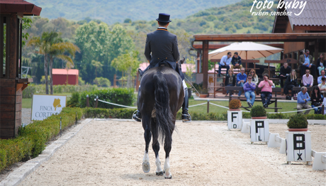 dressage-May2013-3