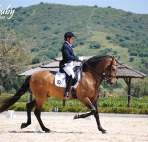 dressage-May2013-4