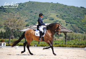 dressage-May2013-4