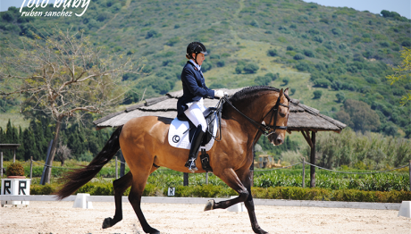 dressage-May2013-4