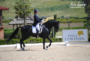 dressage-May2013-5