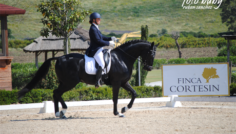 dressage-May2013-5