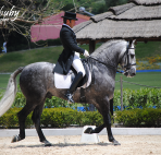 dressage-May2013-6