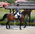 dressage-May2013-7