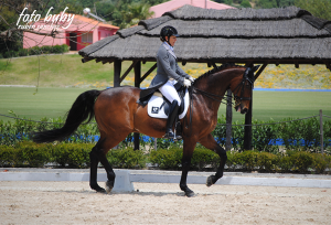 dressage-May2013-7