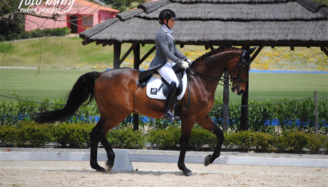 dressage-May2013-7