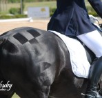 dressage-May2013-8